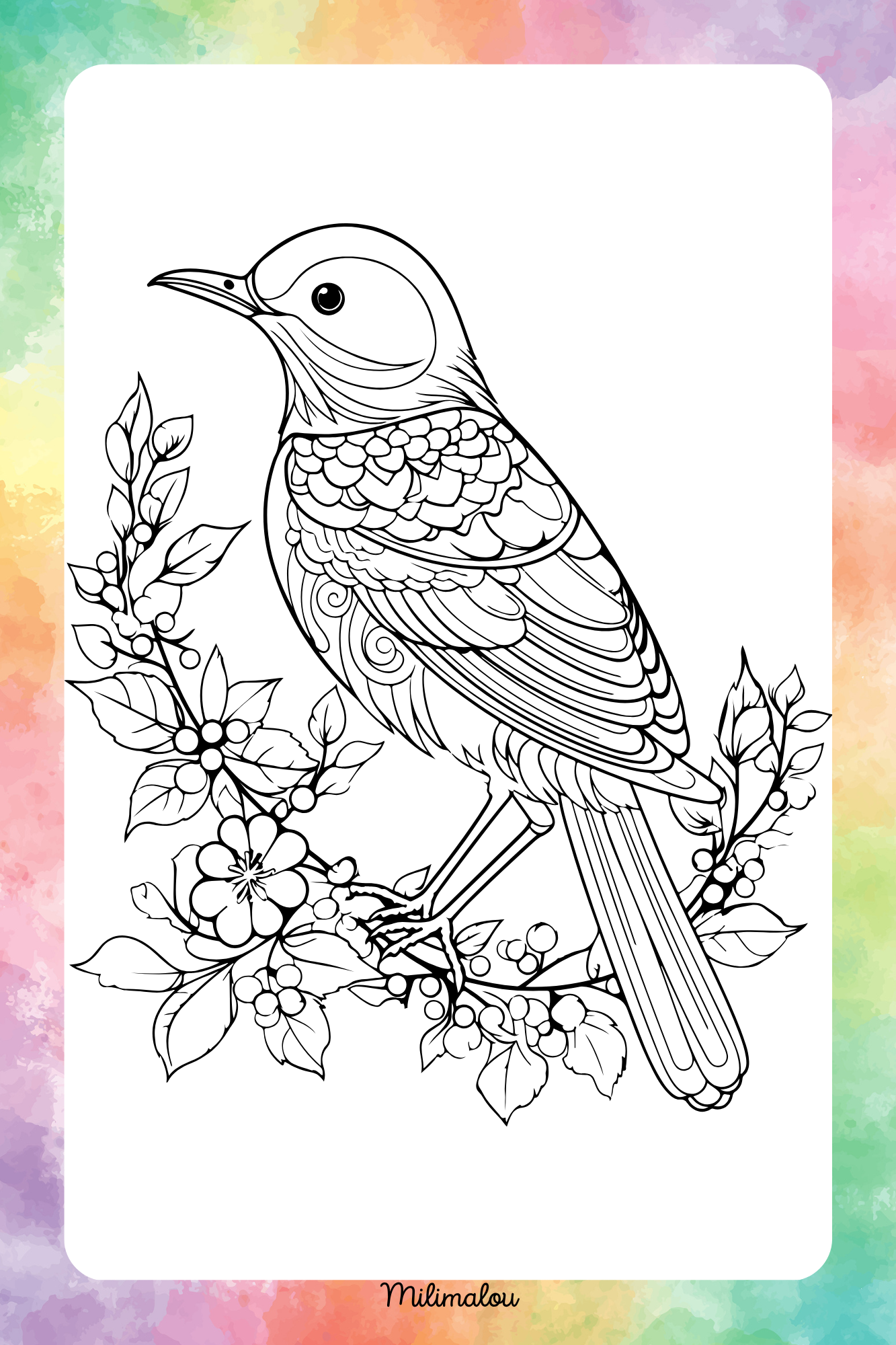 Coloriage Modèle 13