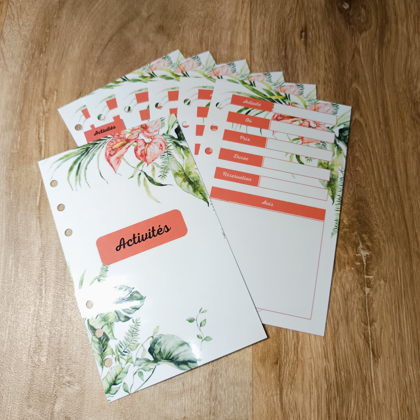 Fiches Budget Vacances A6