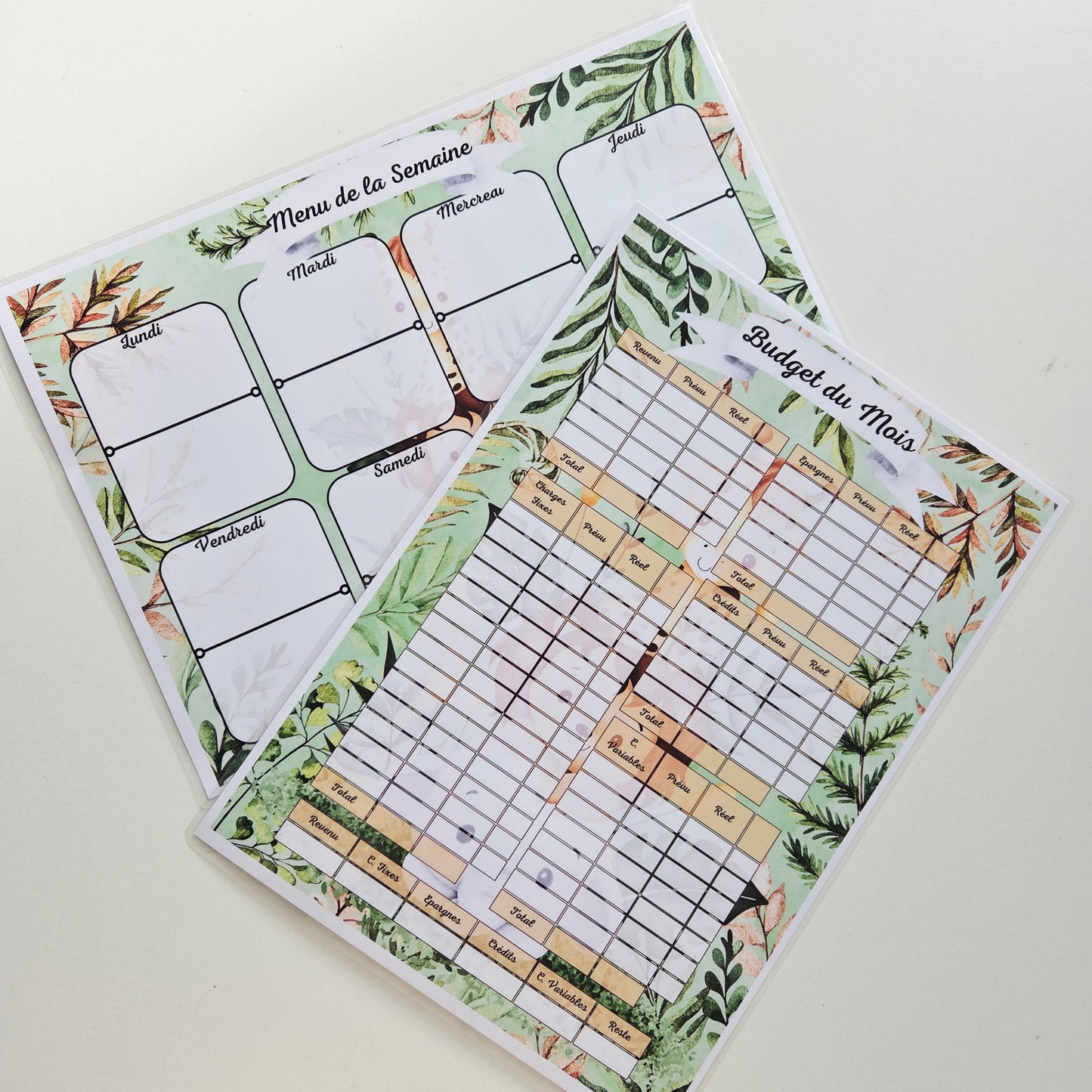 Budget Menu Animaux Vert