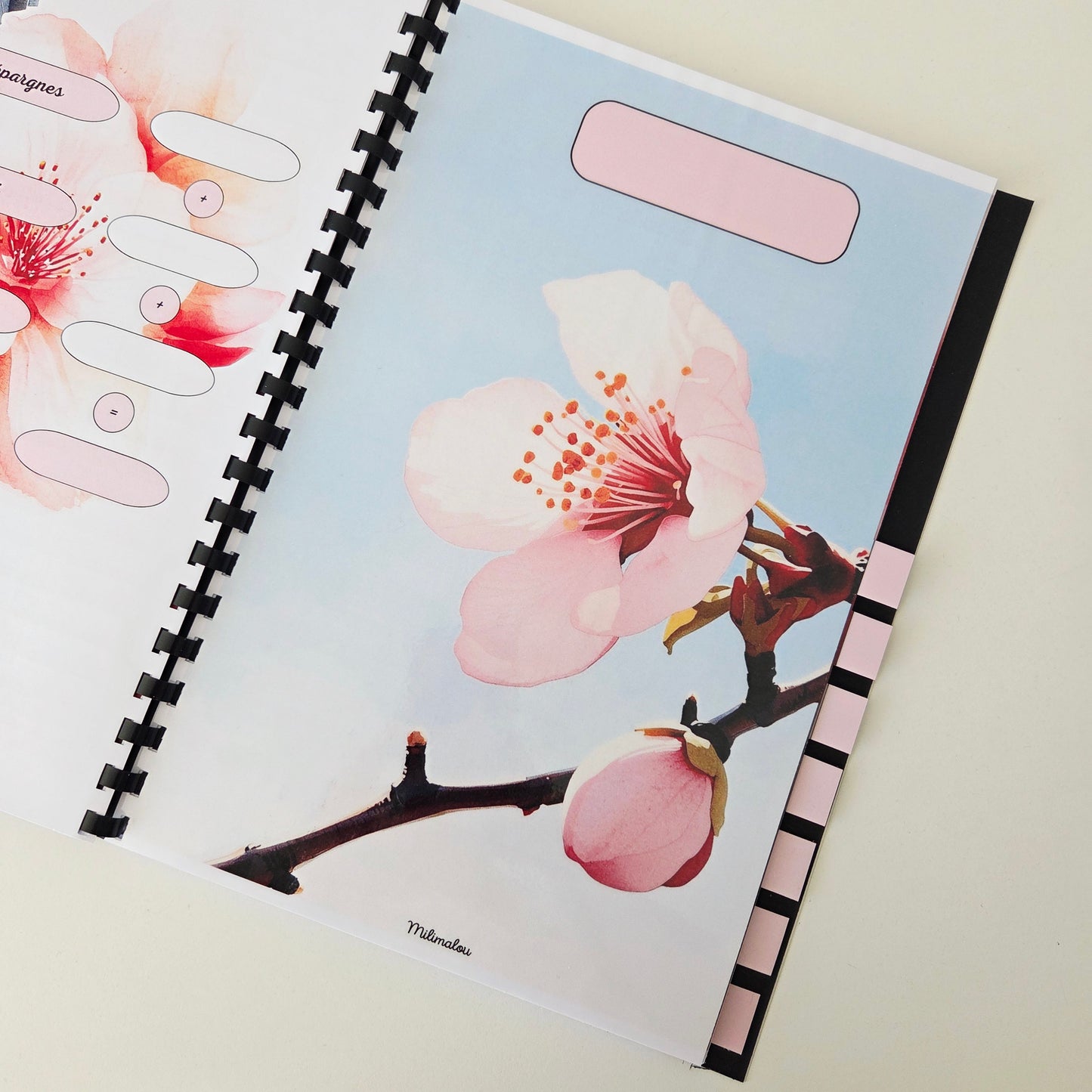 Budget 12 mois Fleurs de Pêcher