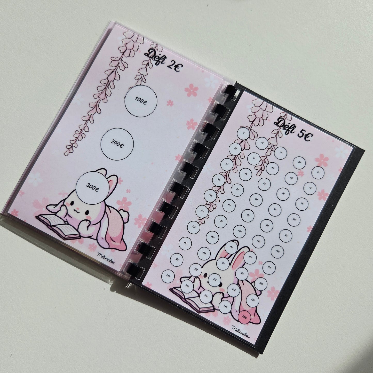 Mes Défis € Kawaï Livre