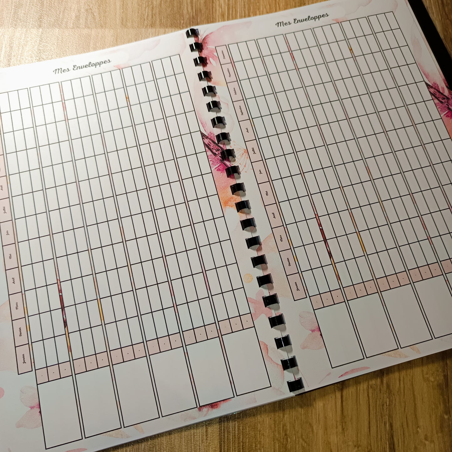 Budget Annuel Papillons