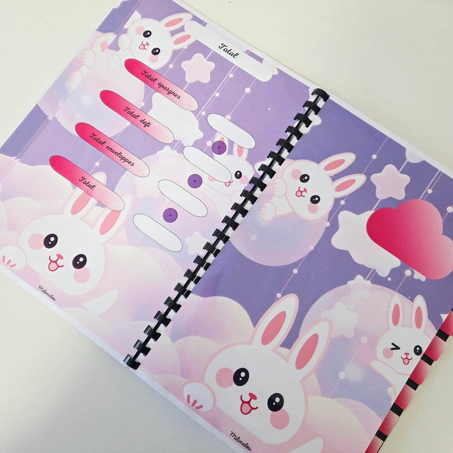 Budget 12 mois Kawaï Lapin