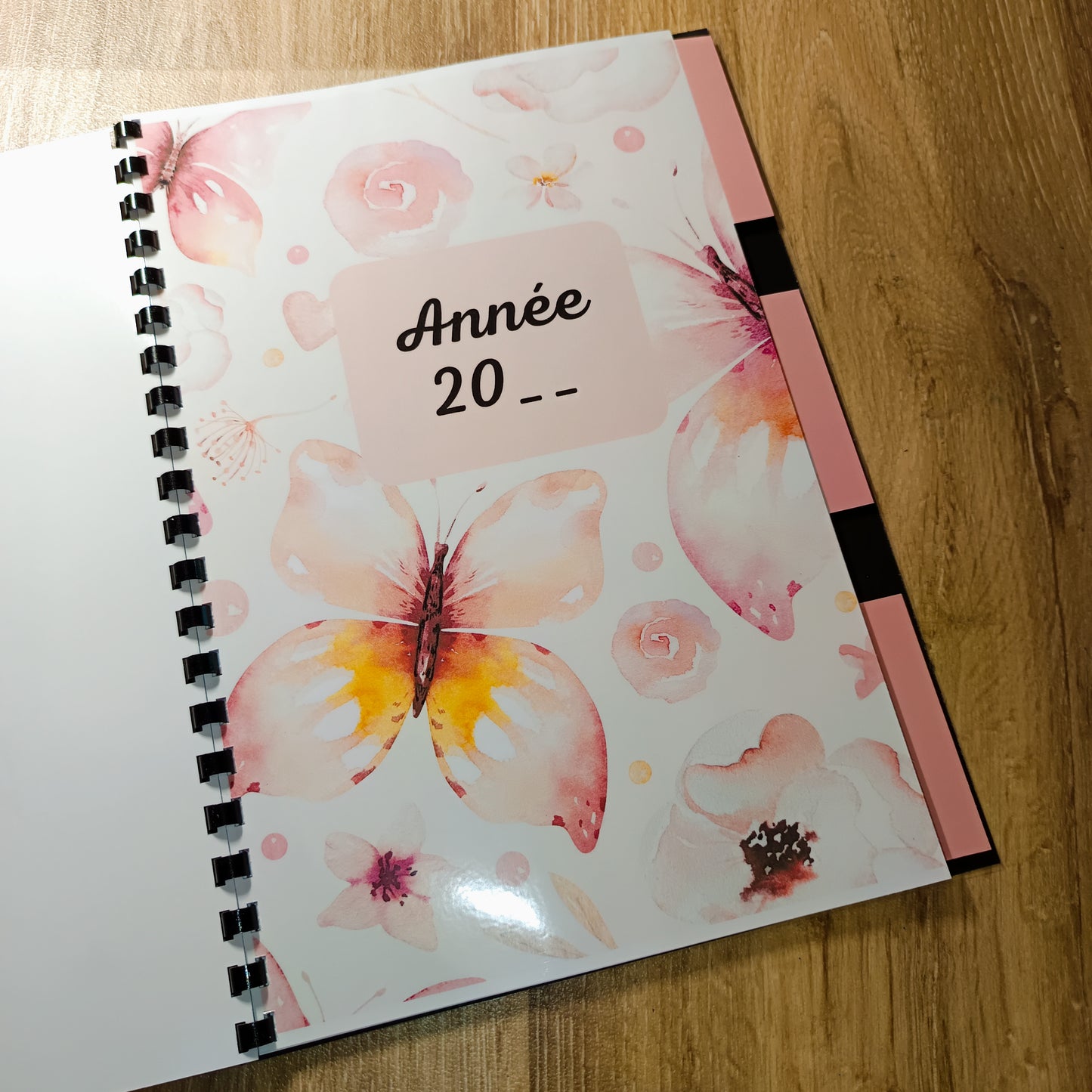 Budget Annuel Papillons