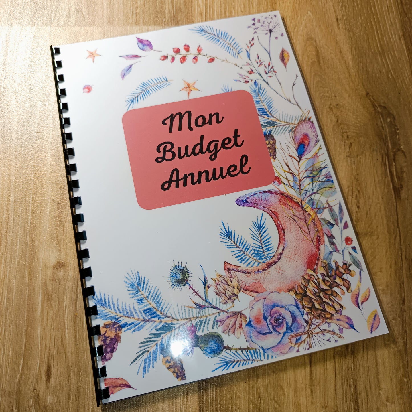 Budget Annuel Lune Florale