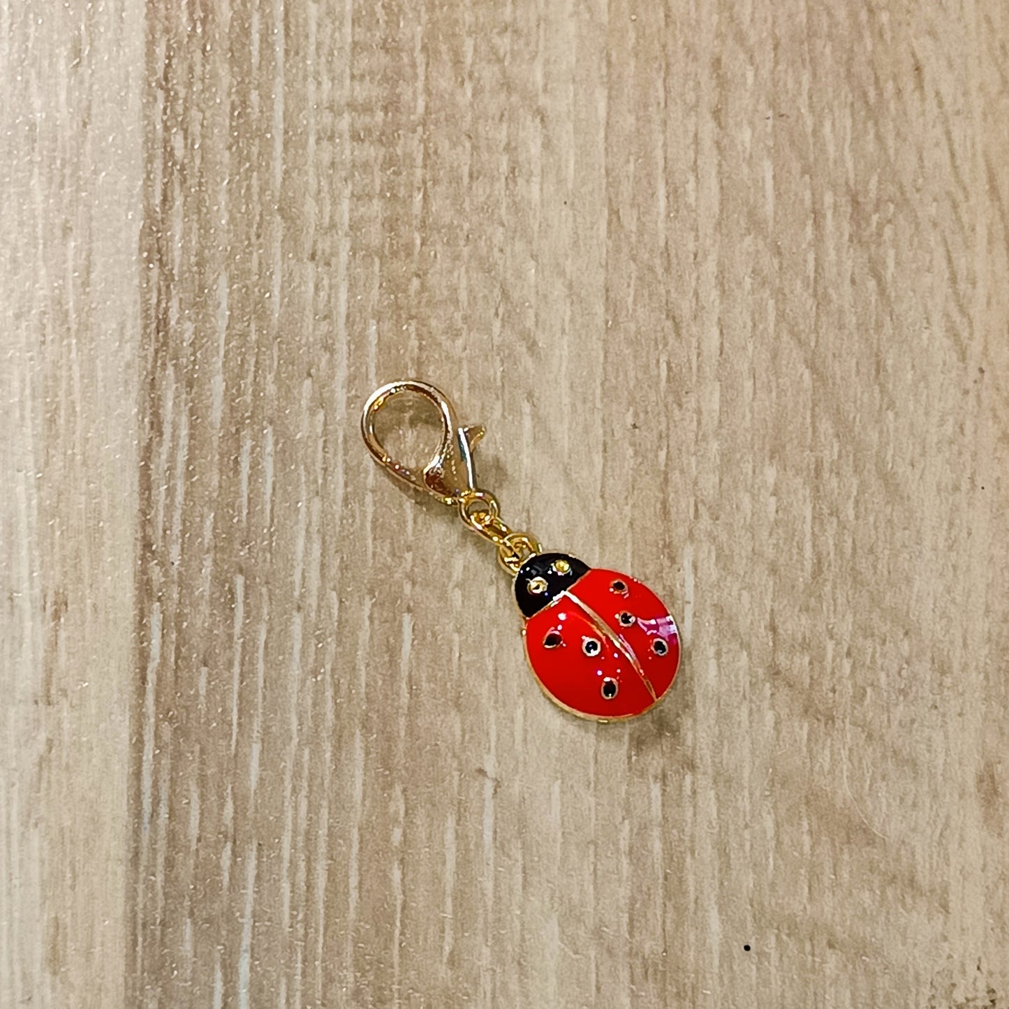 Porte Clés Coccinelle