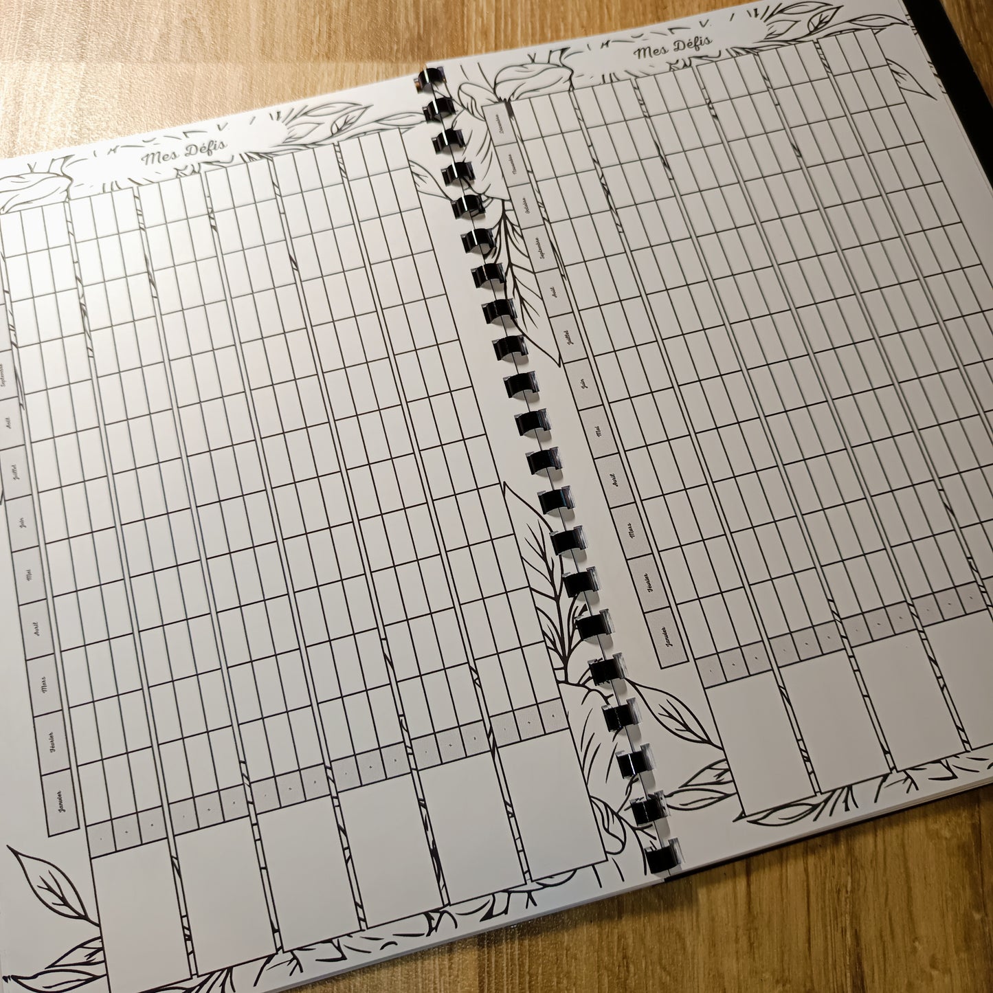 Budget Annuel Feuilles Noir