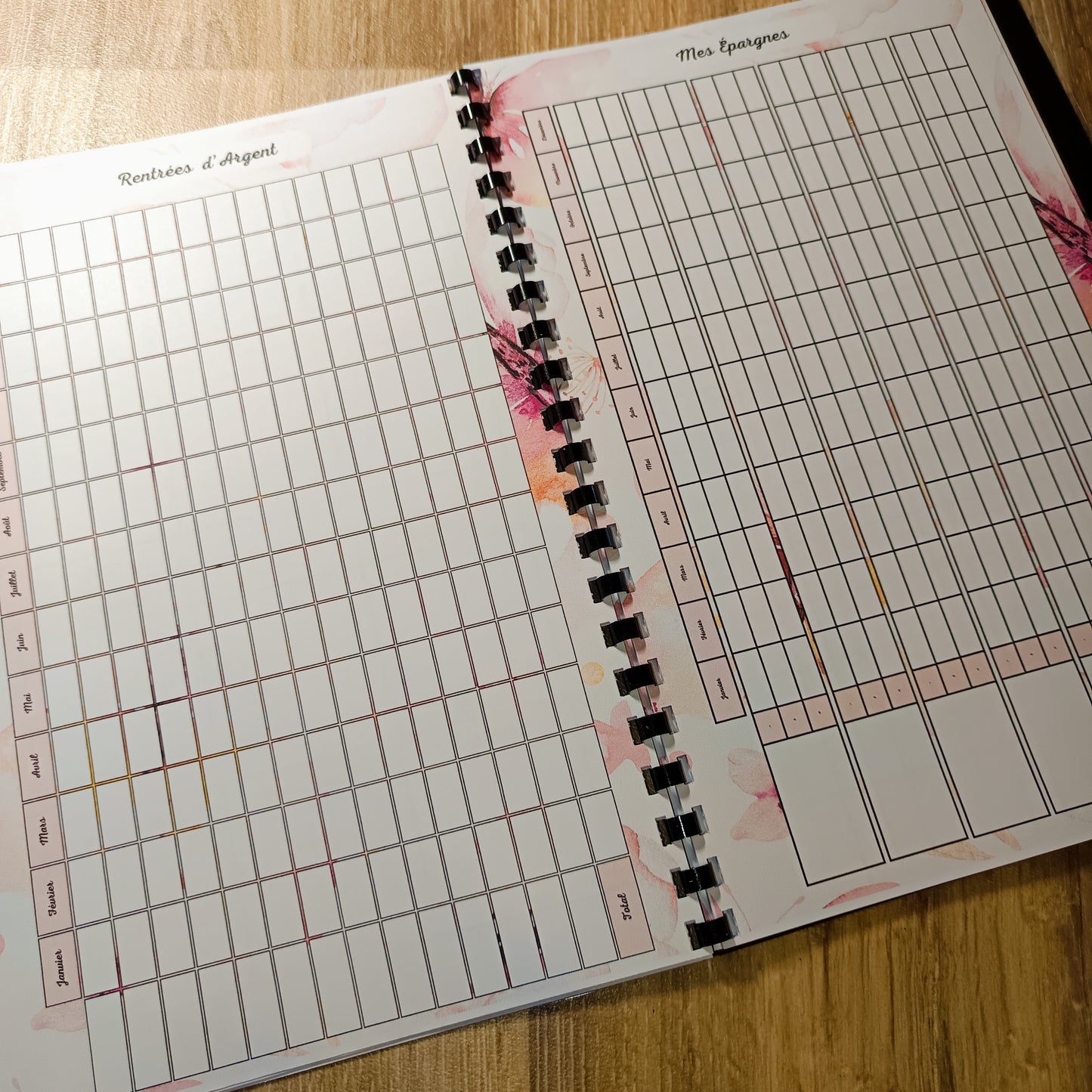 Budget Annuel Papillons