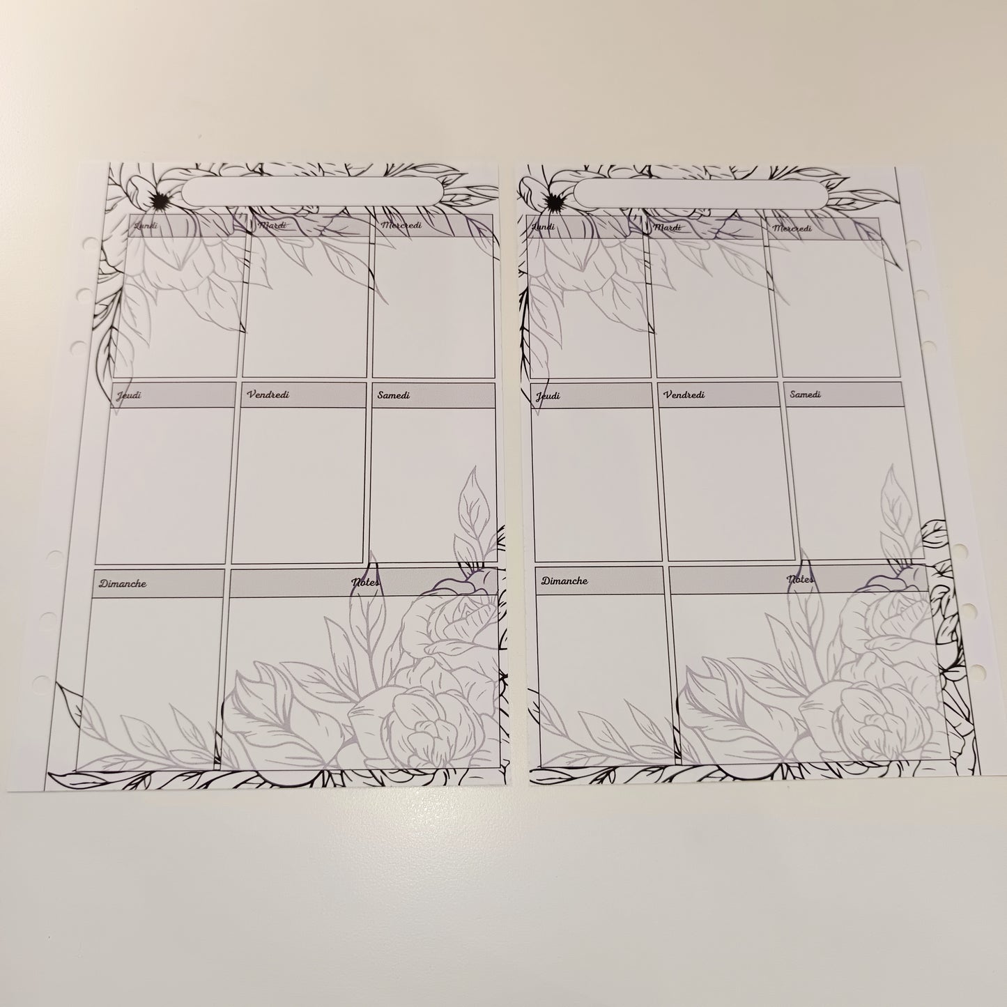 Fiches A5 NON Plastifiées Feuilles Noir