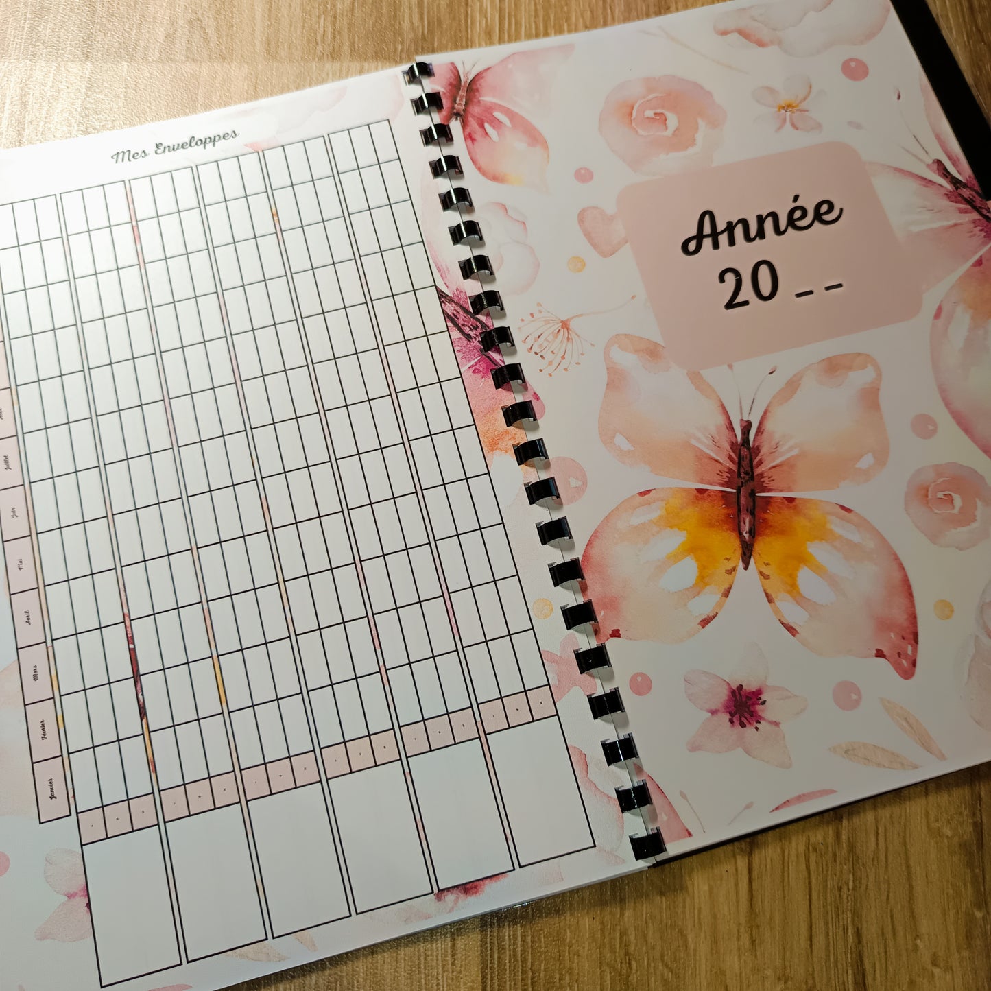 Budget Annuel Papillons