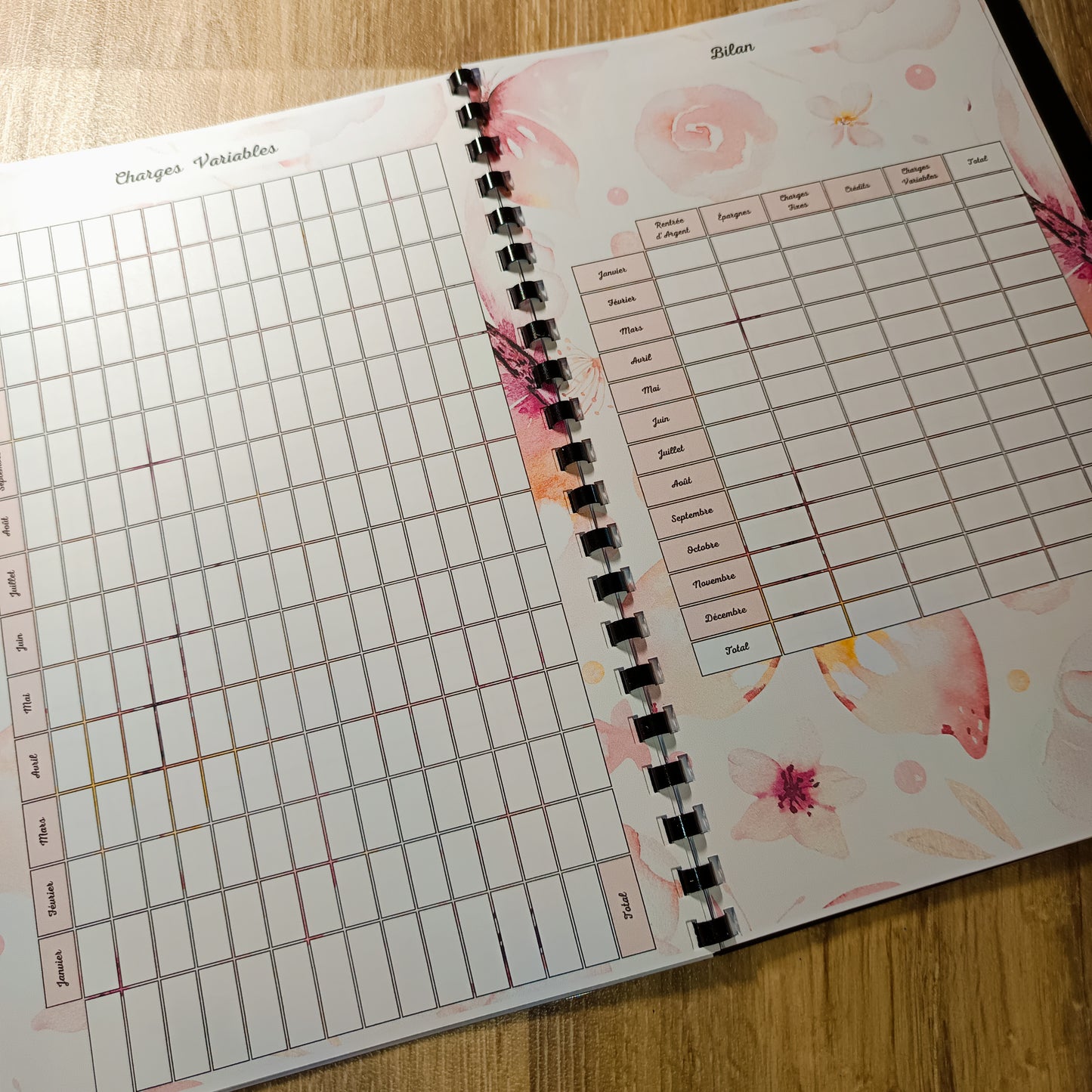 Budget Annuel Papillons