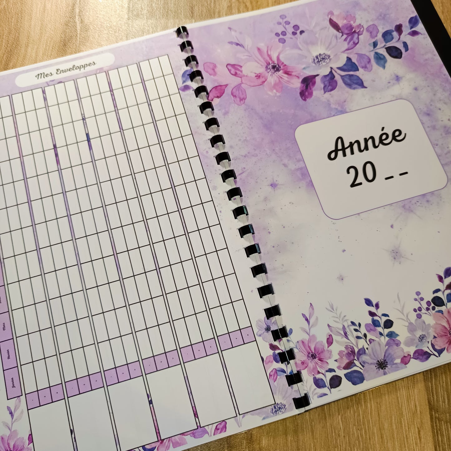 Budget Annuel Violet