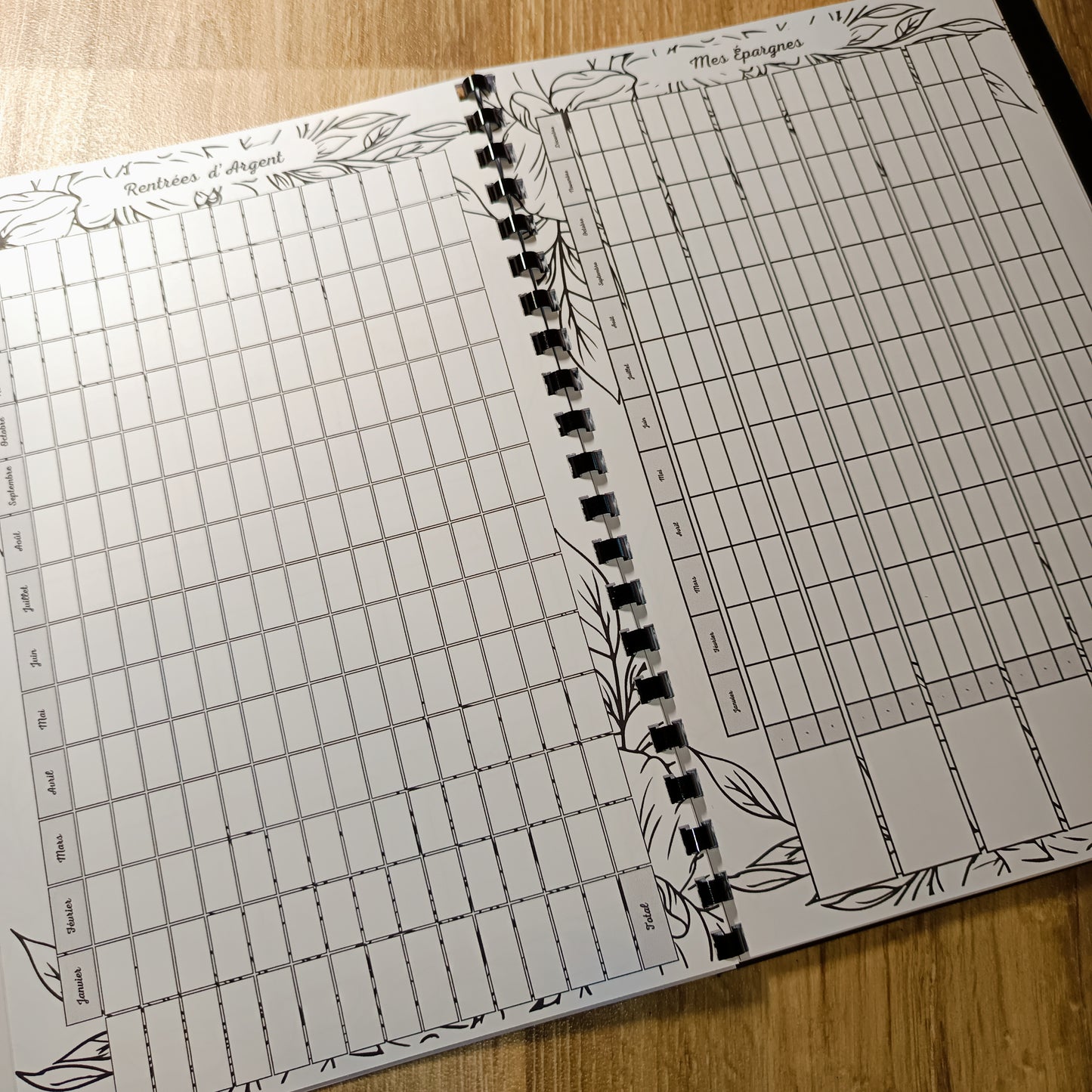 Budget Annuel Feuilles Noir