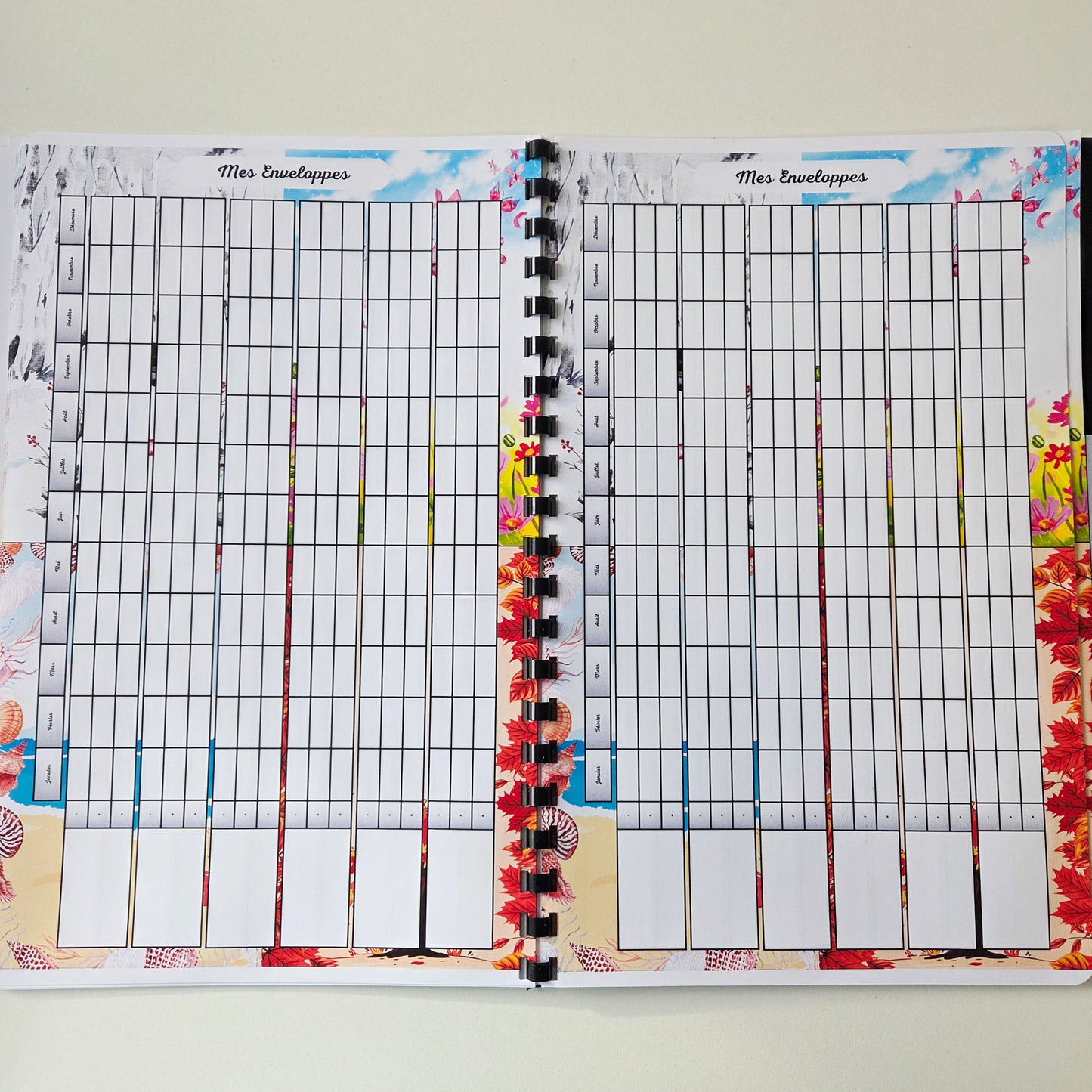 Budget Annuel Saisons