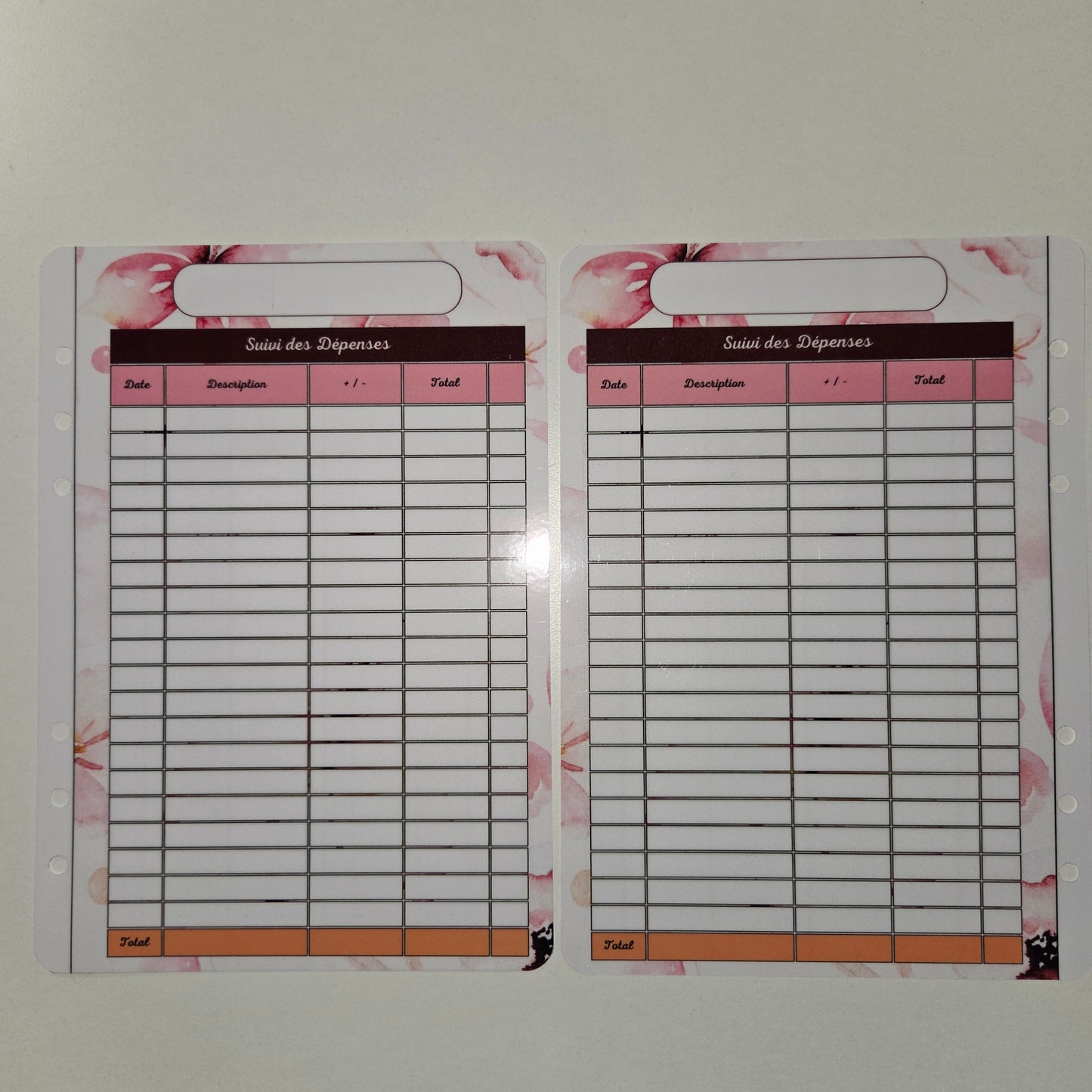 Budget A5 Plastifié Papillons