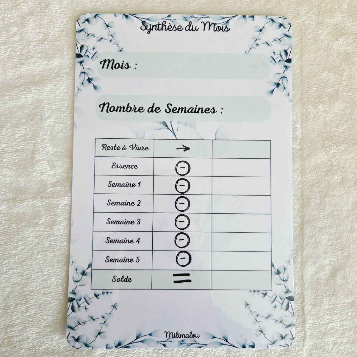 Synthèse du Mois A5 Plante