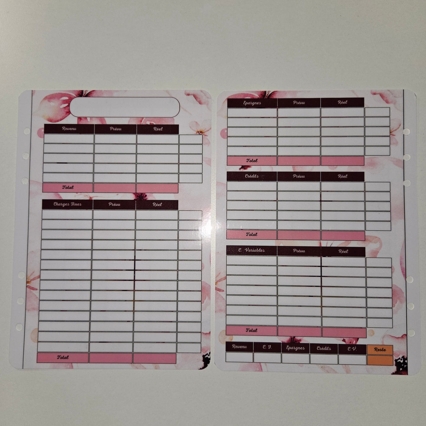 Budget A5 Plastifié Papillons