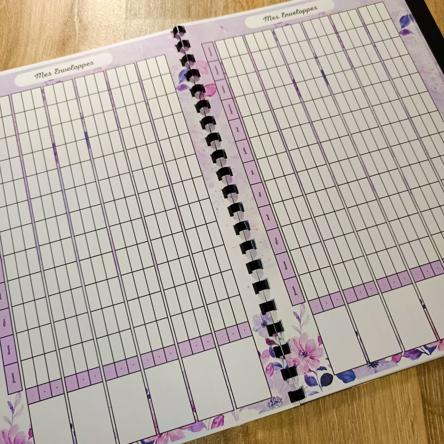 Budget Annuel Violet