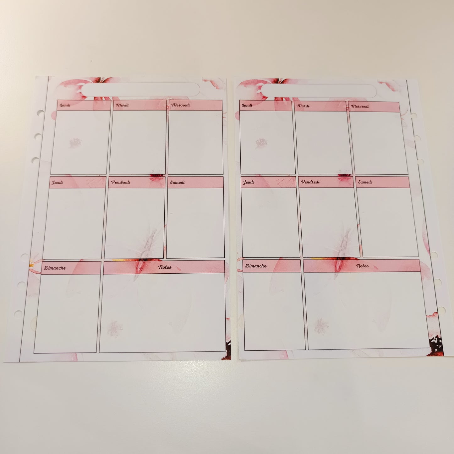 Fiches A5 NON Plastifiées Papillons