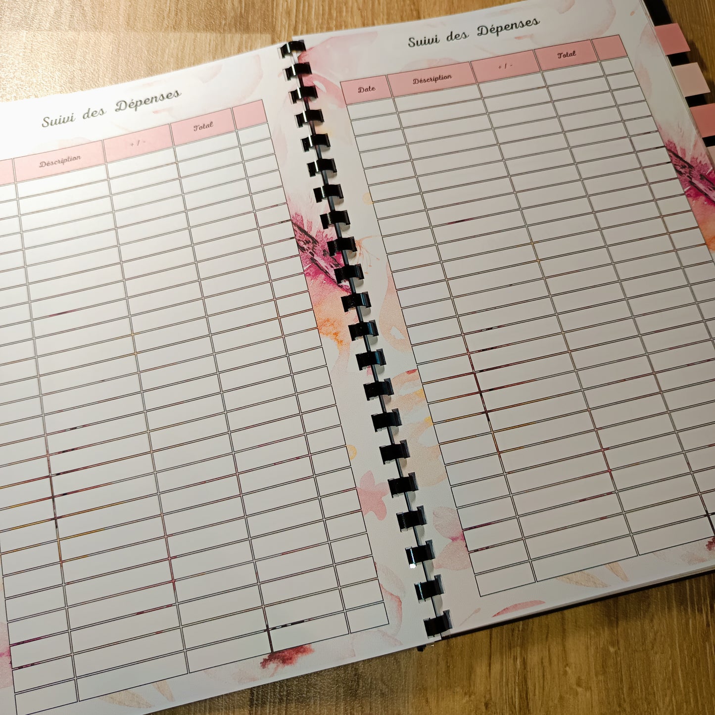 Budget 12 mois Papillons