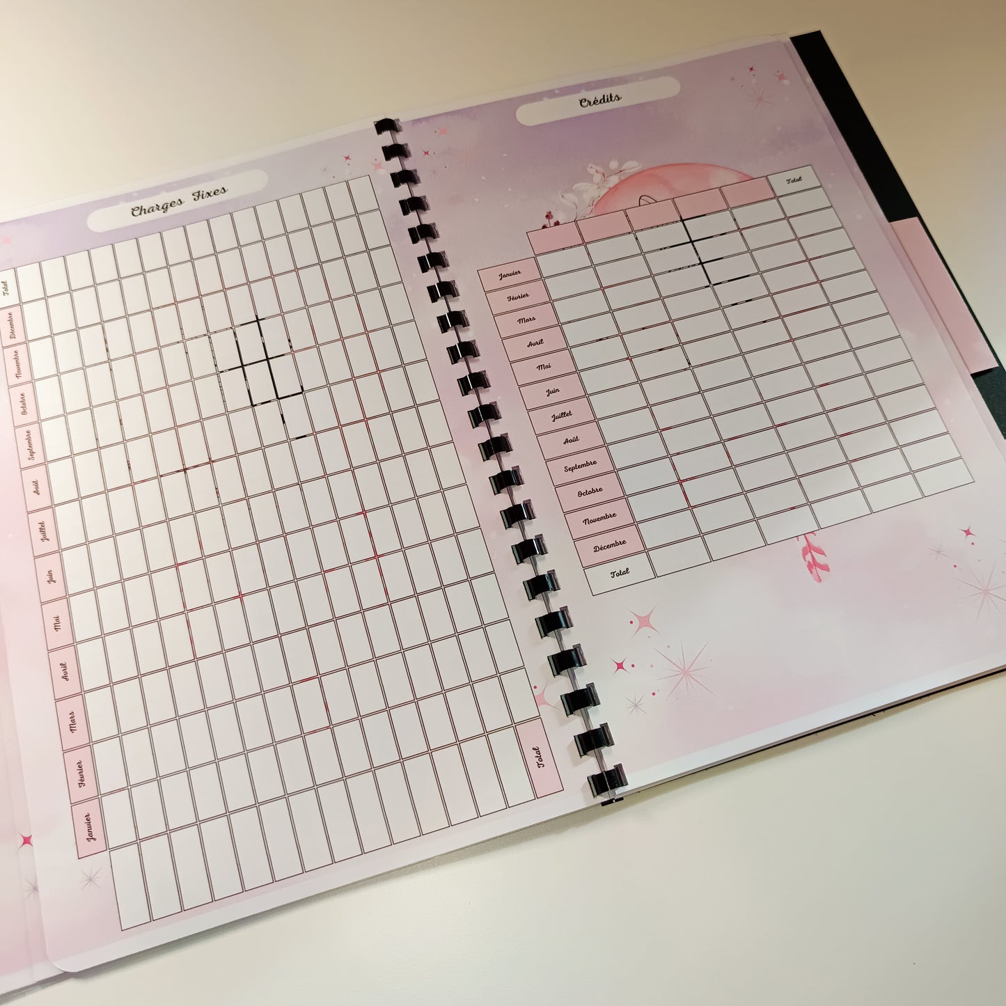 Budget Annuel Rêves