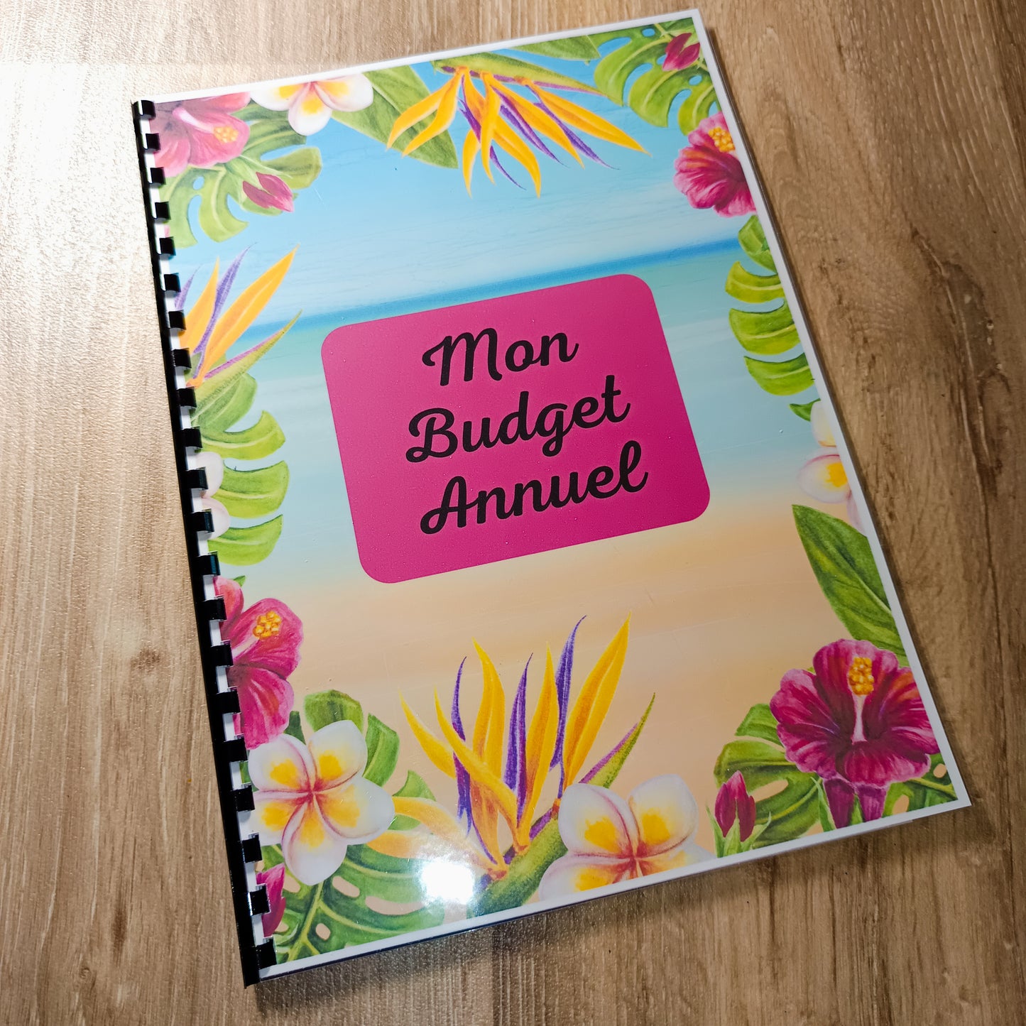 Budget Annuel Bora Bora