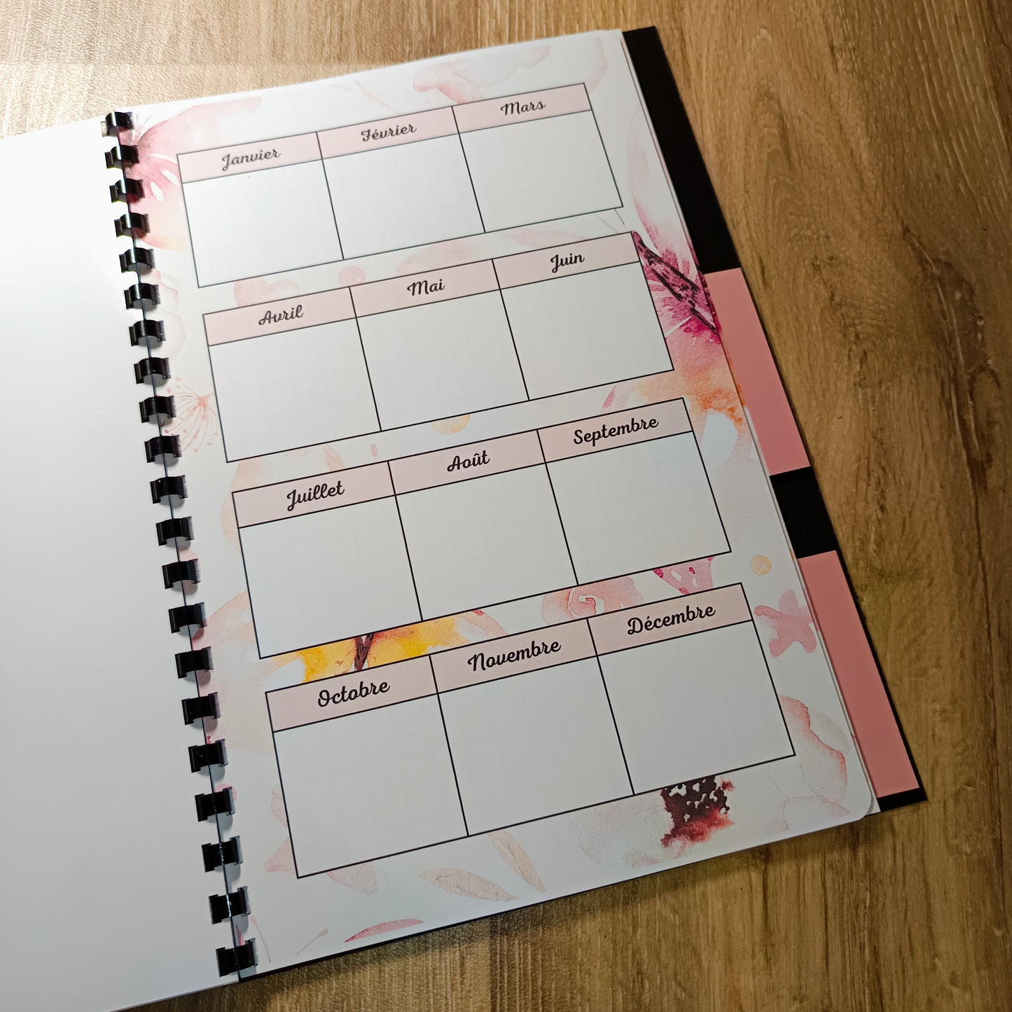 Budget Annuel Papillons