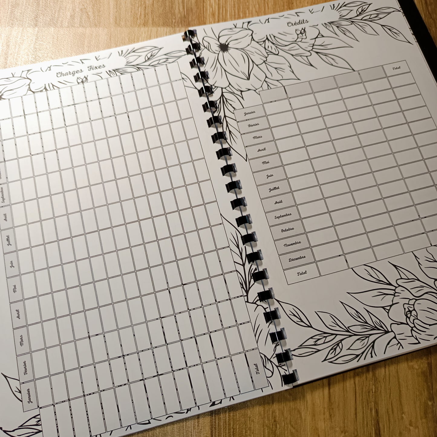 Budget Annuel Feuilles Noir