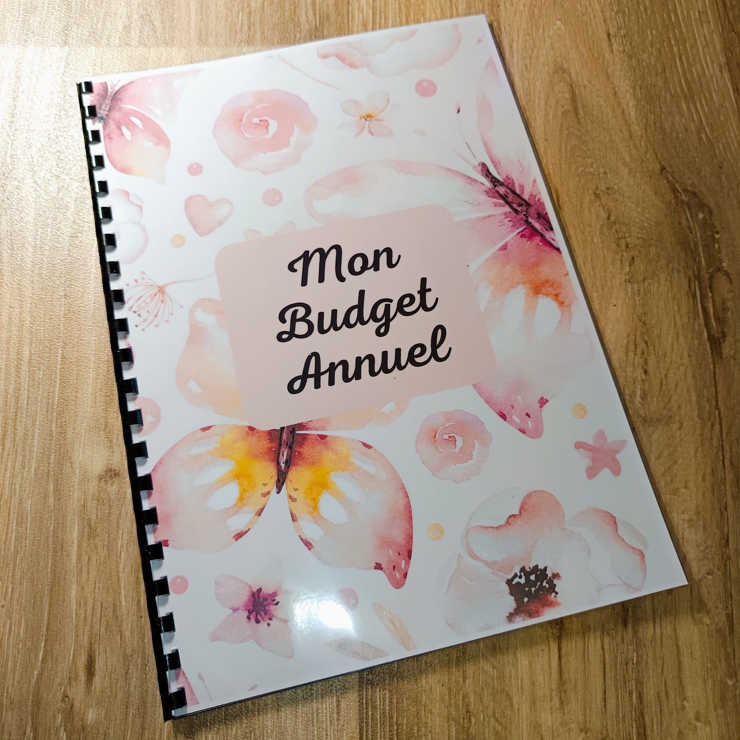 Budget Annuel Papillons