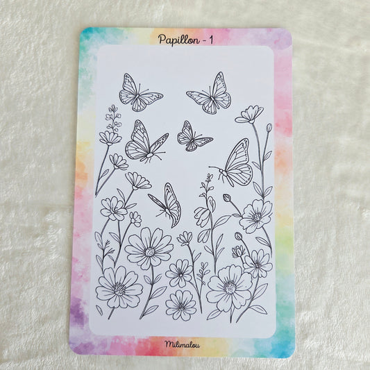 Colo Papillon A5 (Lot de 10)
