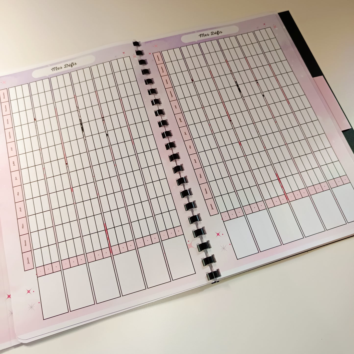 Budget Annuel Rêves