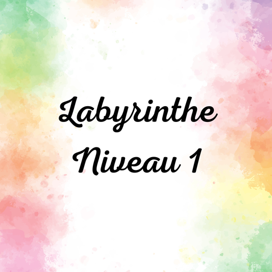 Labyrinthe Niveau 1