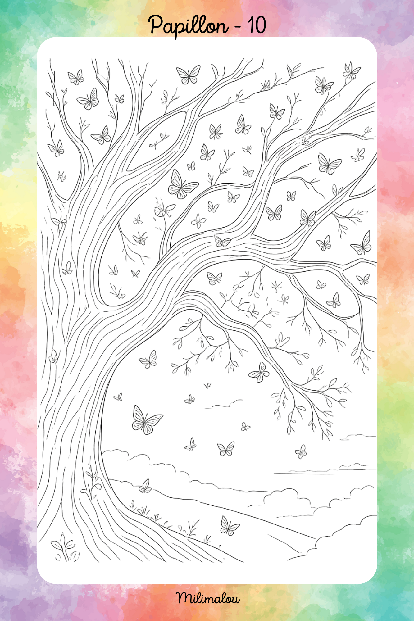Colo Papillon A5