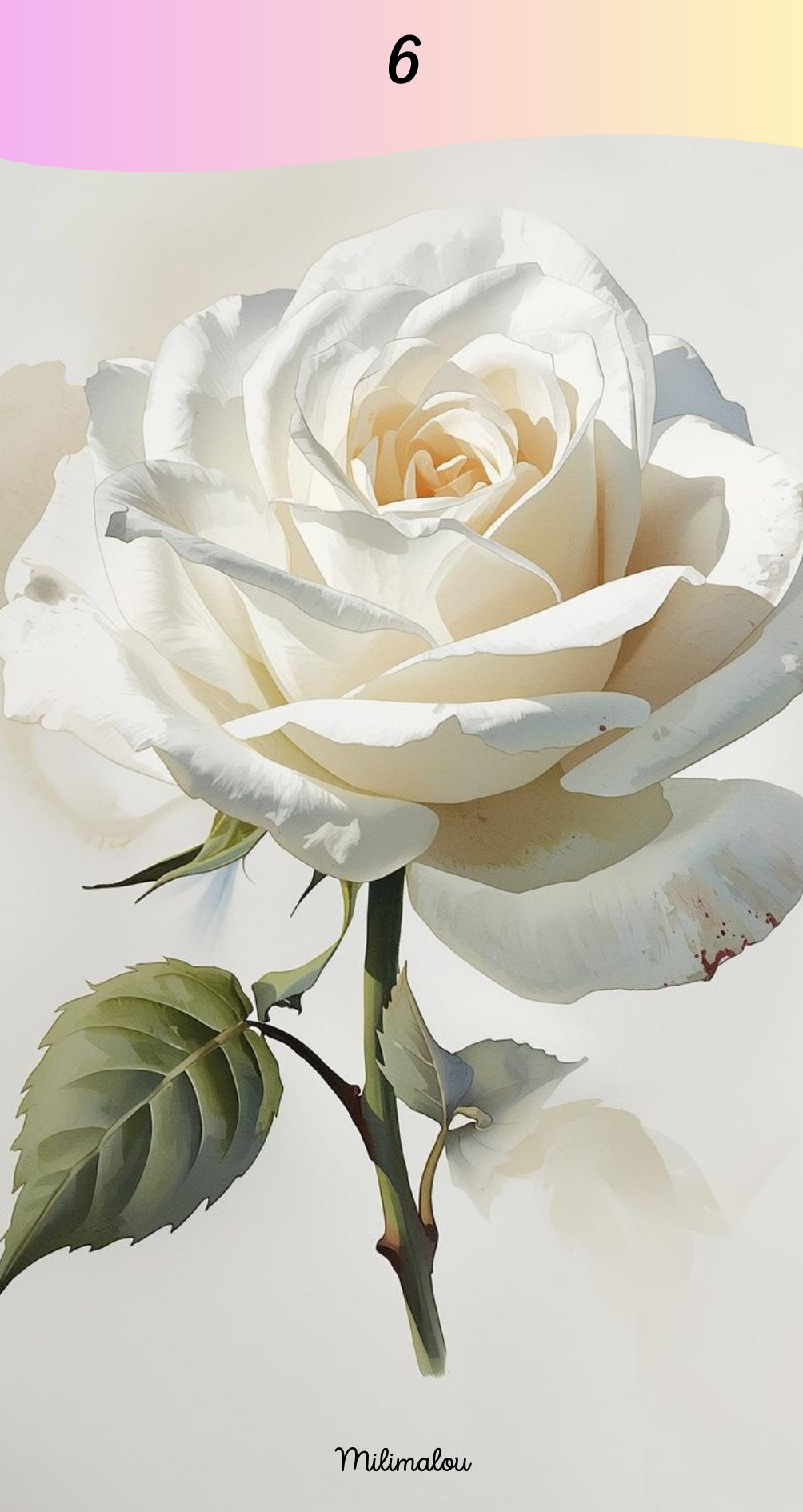 Page de Garde A6 Rose