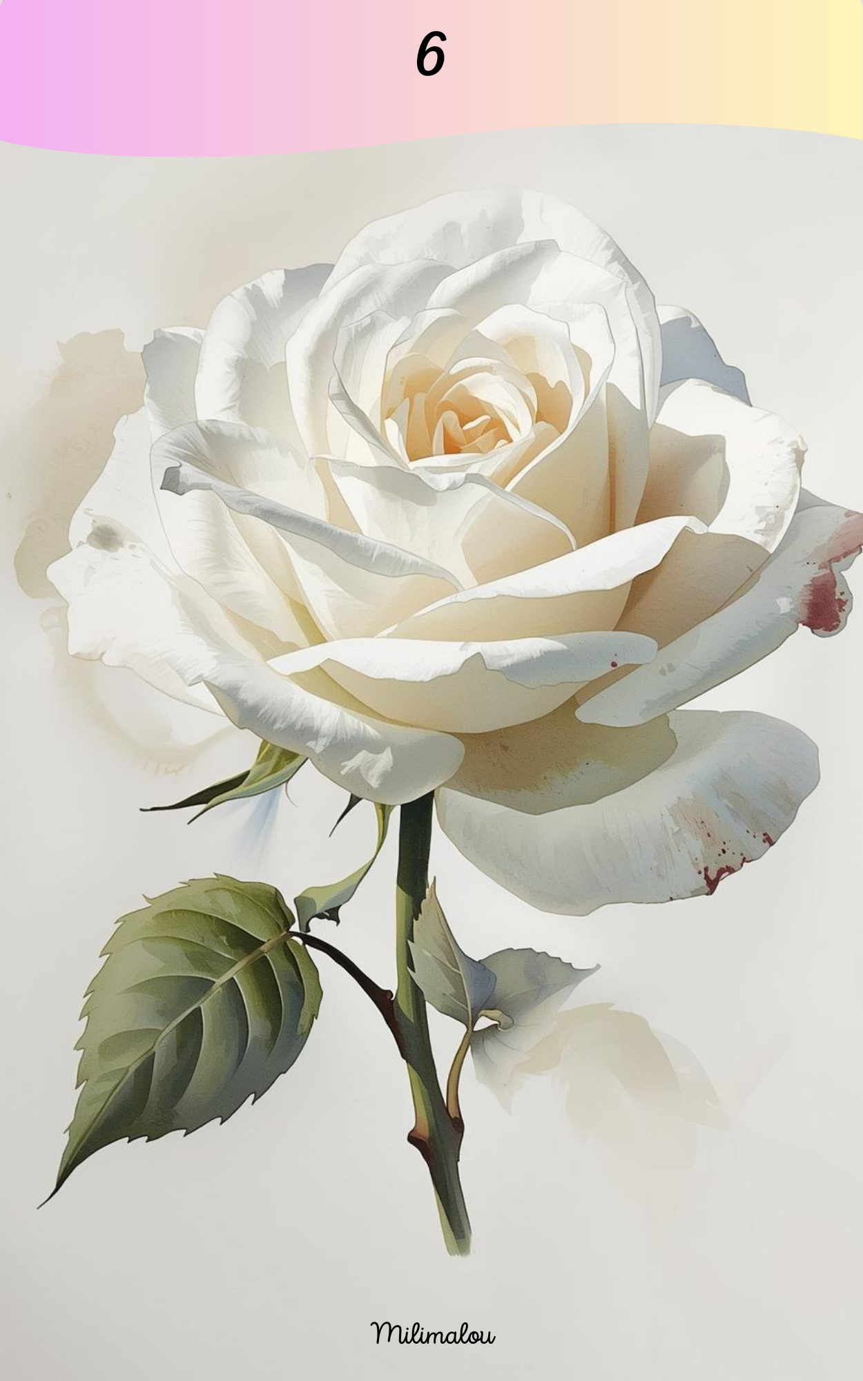 Page de Garde A5 Rose