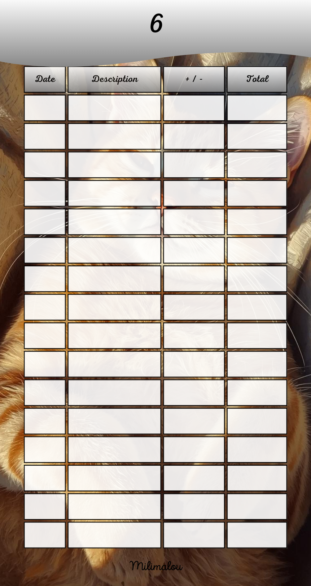 Page de Garde A6 Chat