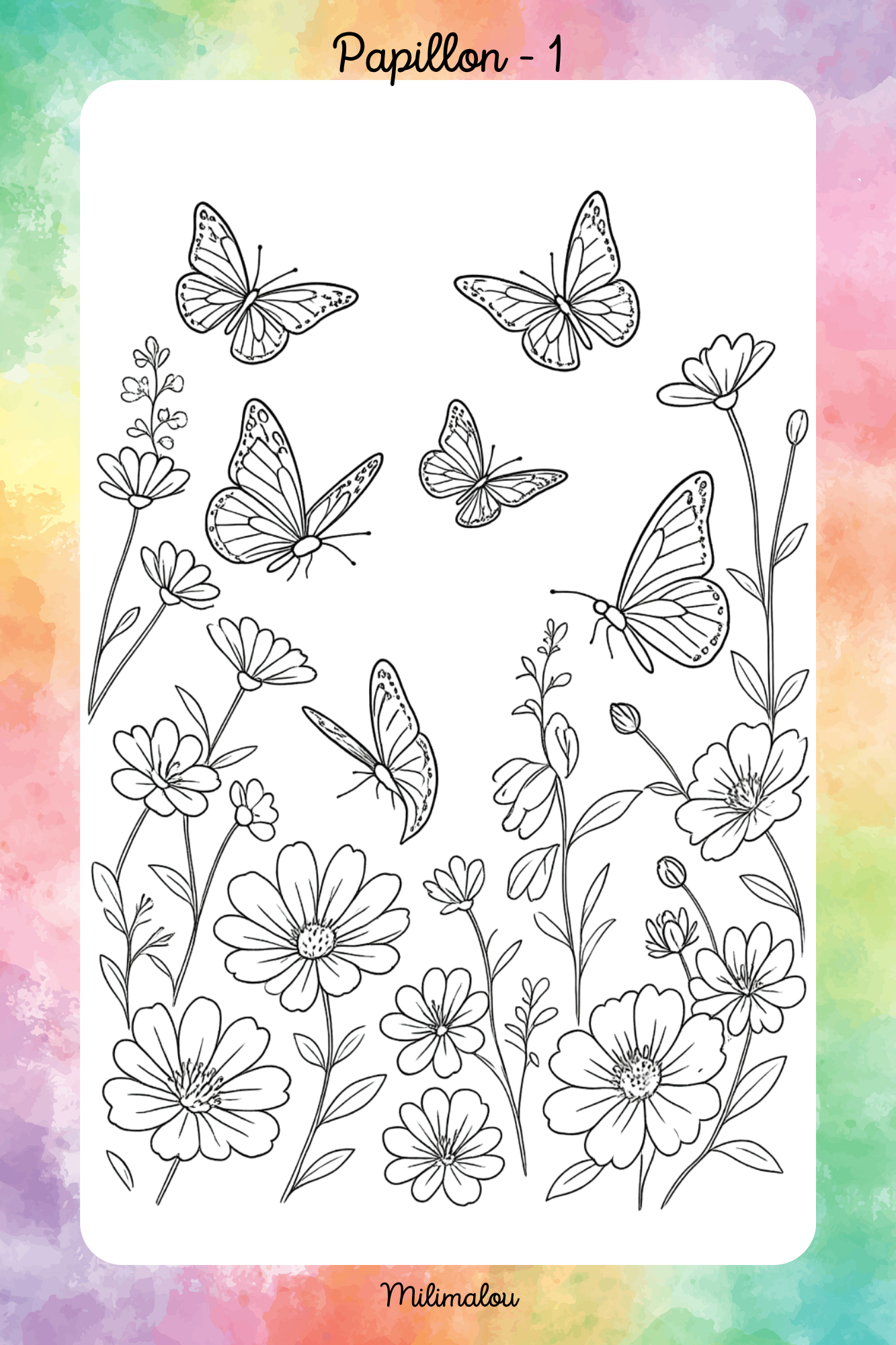 Colo Papillon A5