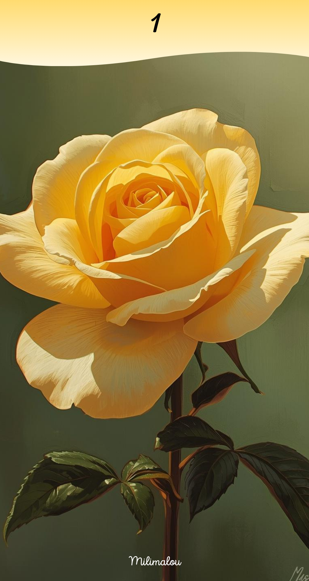 Page de Garde A6 Rose