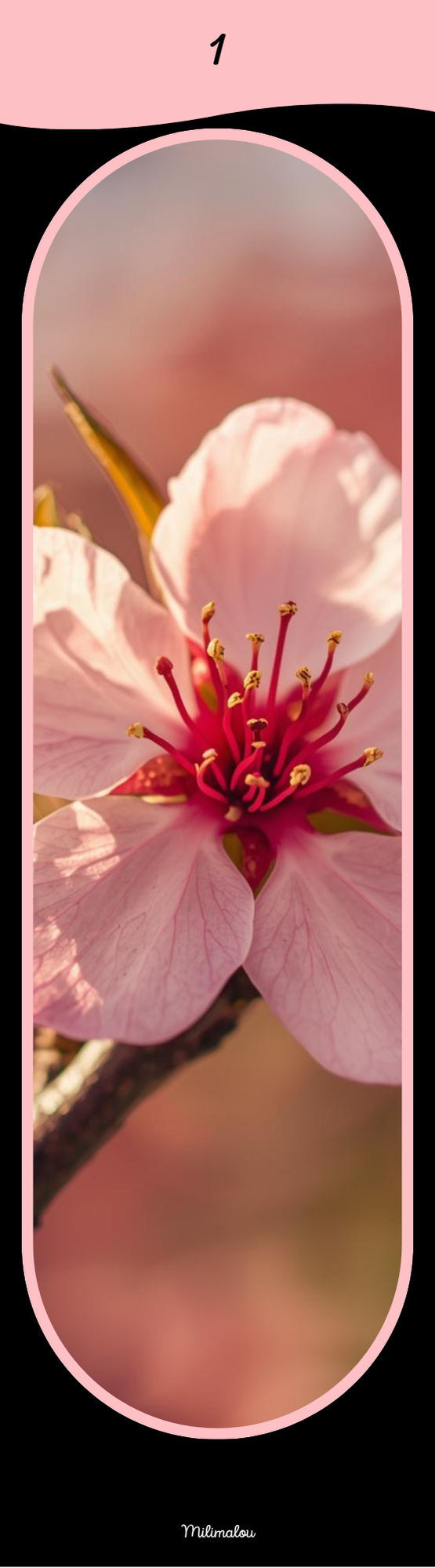 Marque Page A6 Fleurs de Pêcher