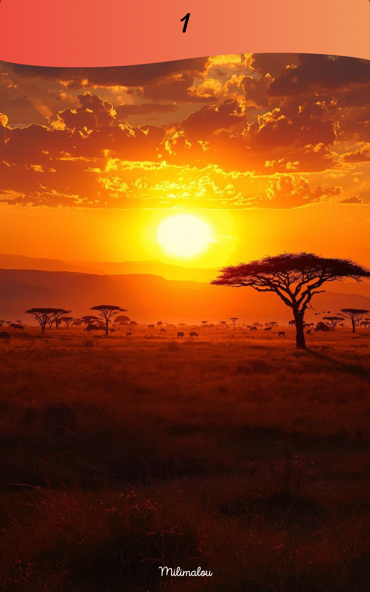 Page de Garde A5 Savane