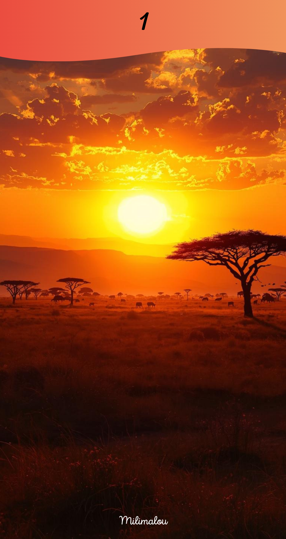 Page de Garde A6 Savane
