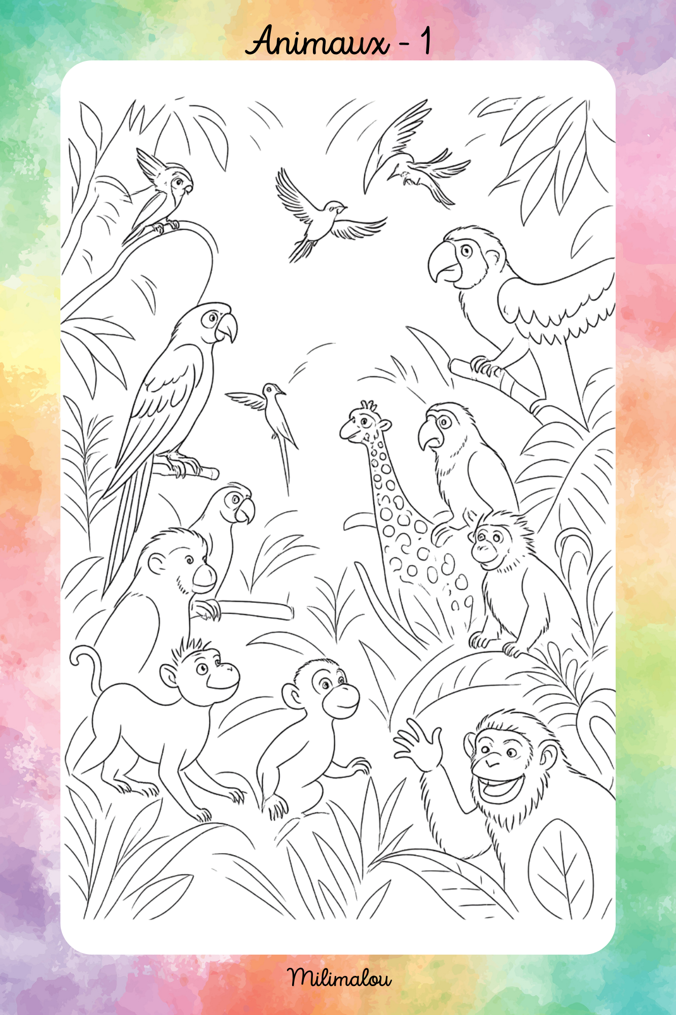 Colo Animaux A5
