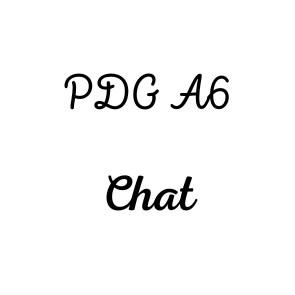 Page de Garde A6 Chat