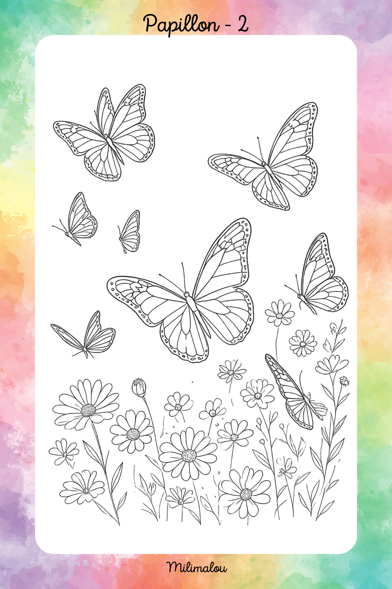 Colo Papillon A5