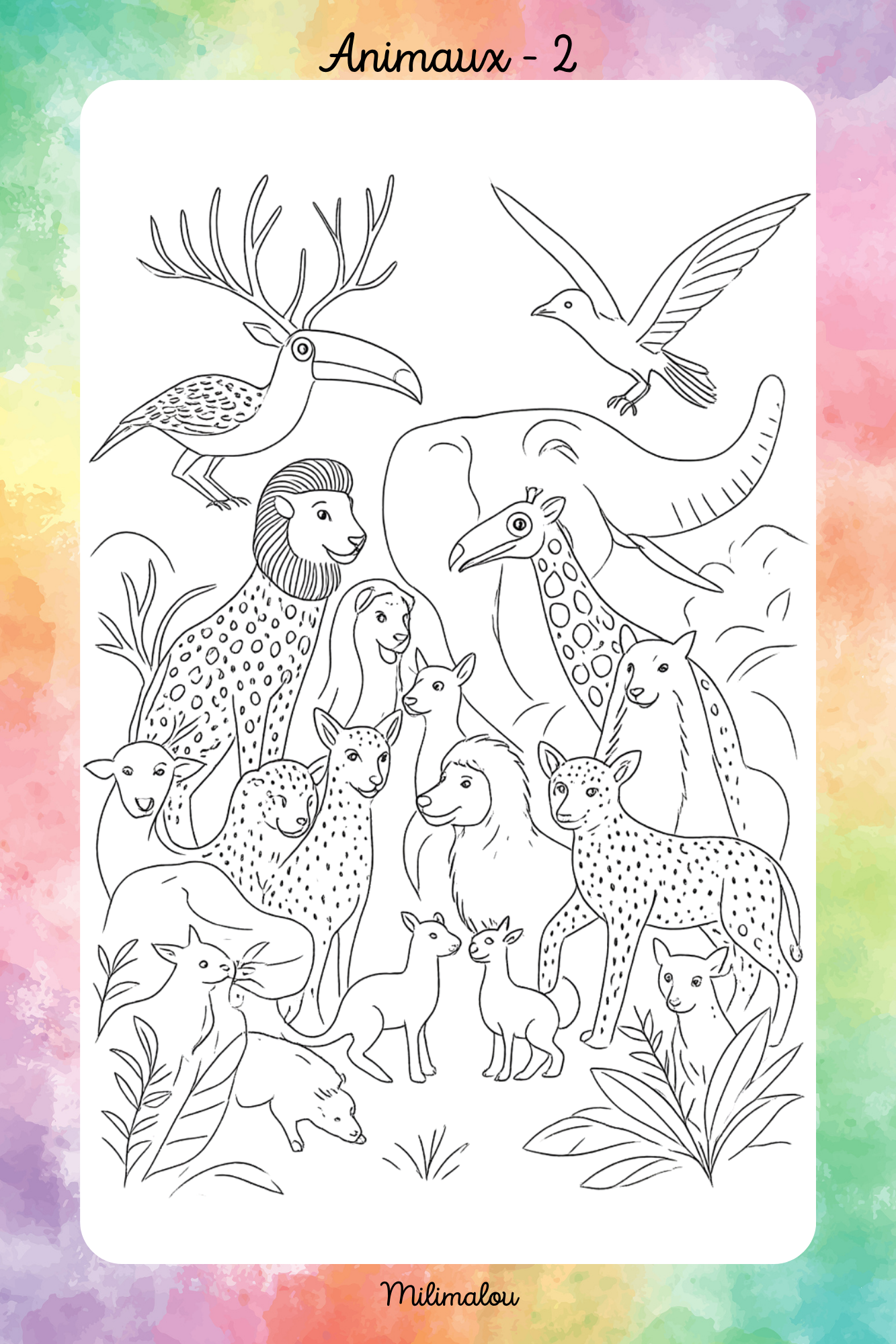 Colo Animaux A5