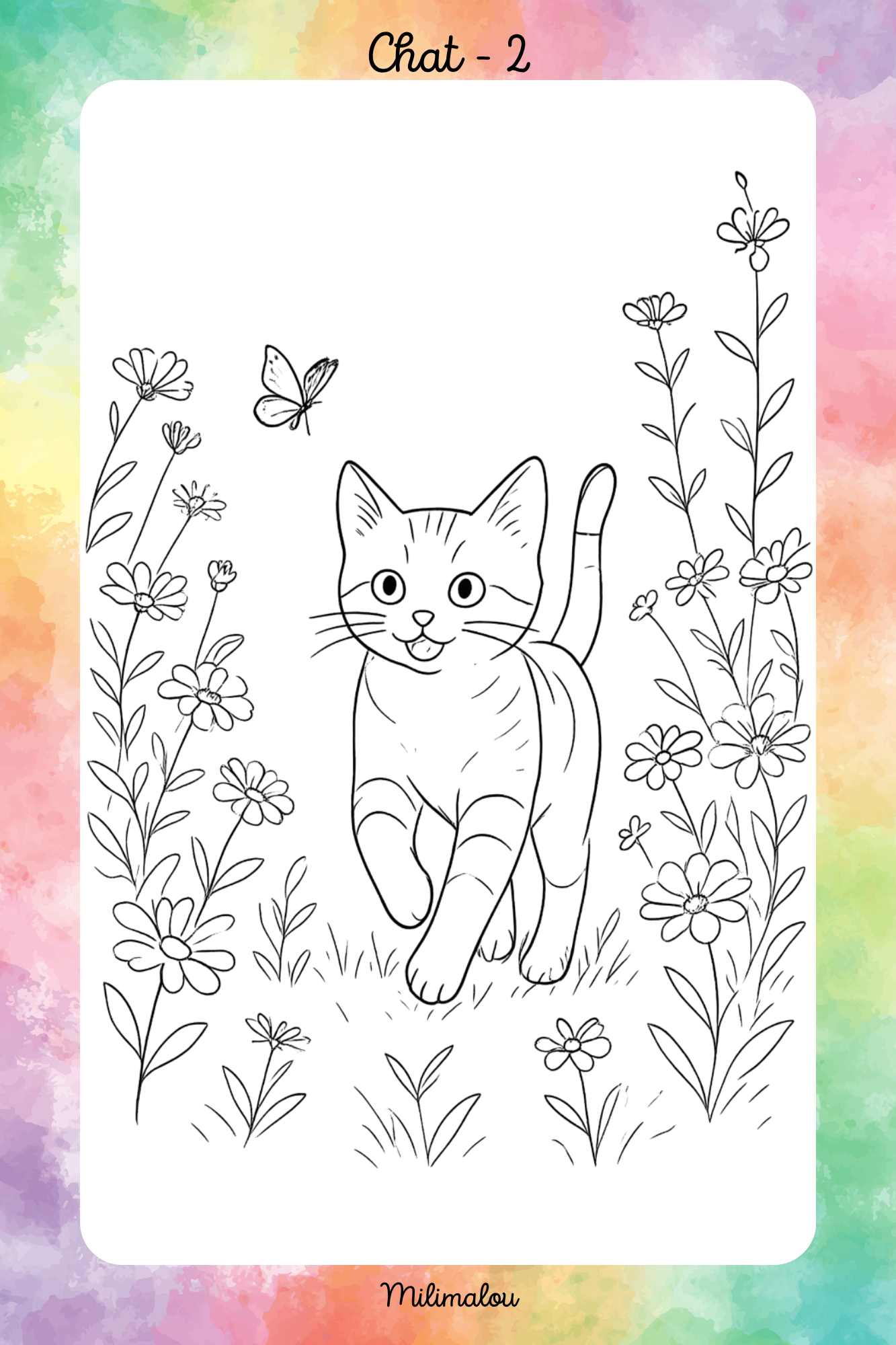 Colo Chat A5