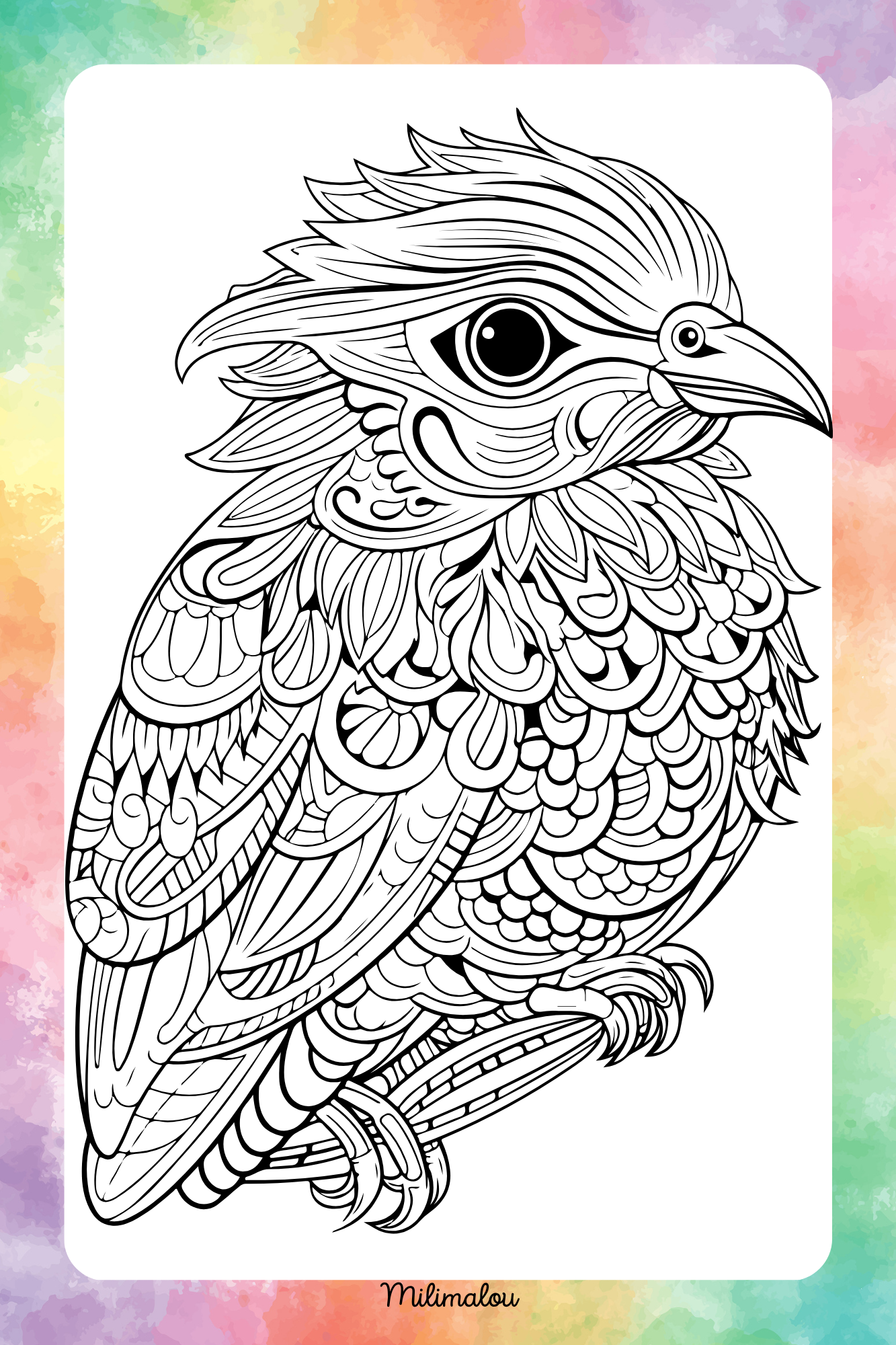 Coloriage Modèle 31