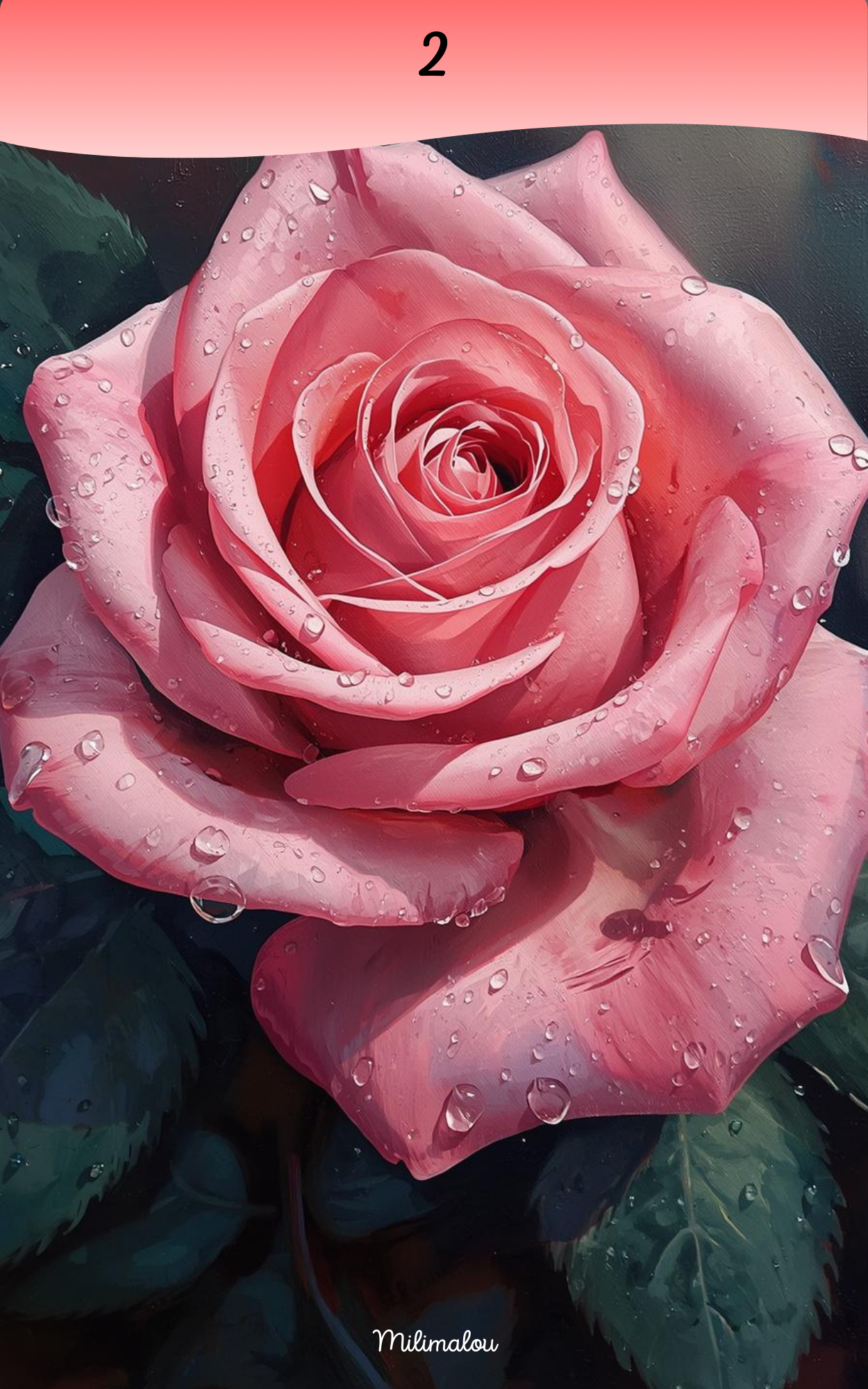 Page de Garde A5 Rose