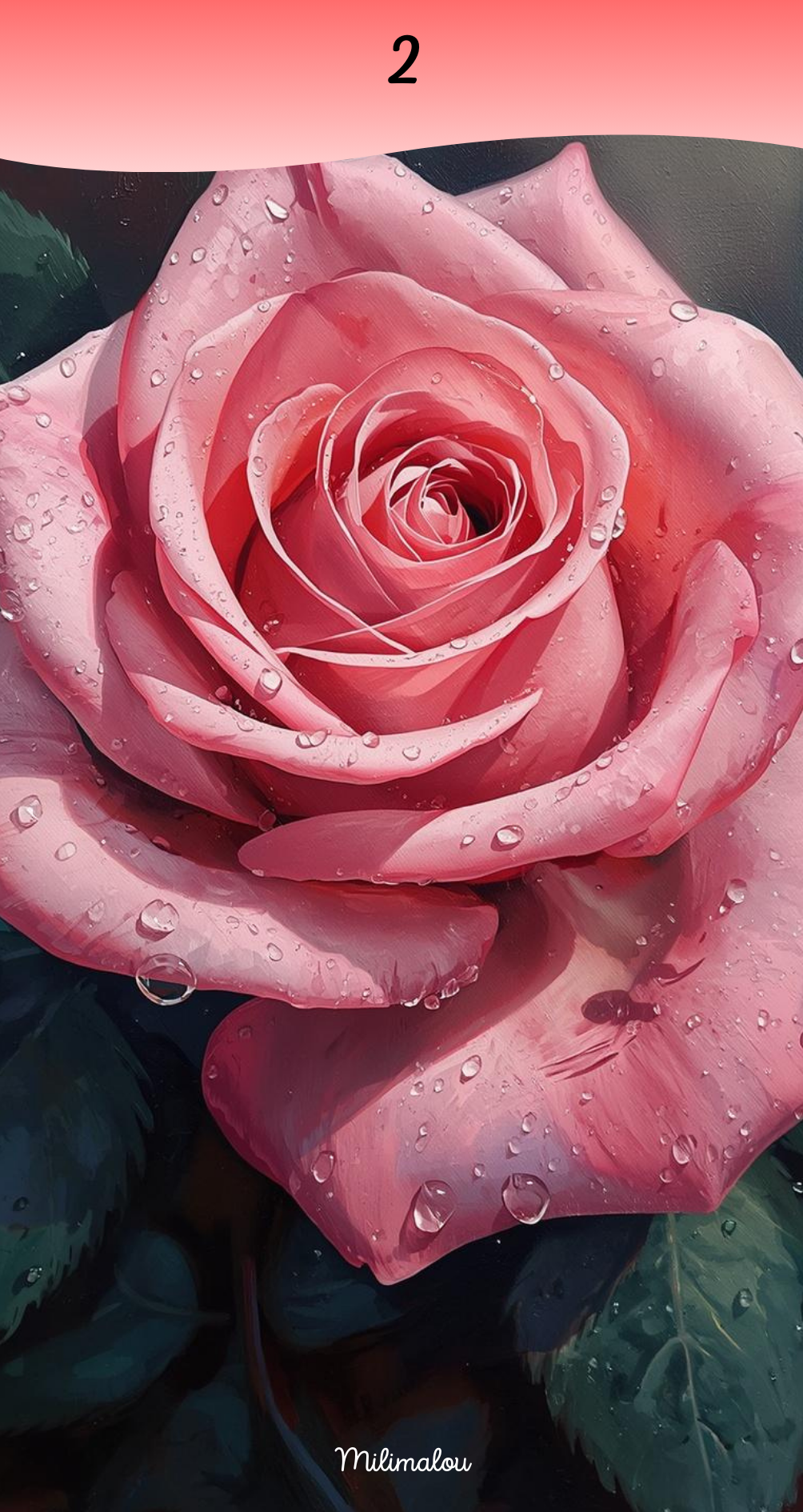 Page de Garde A6 Rose