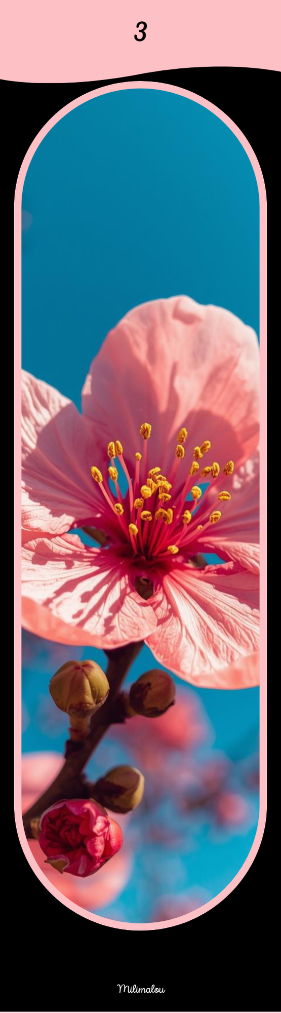 Marque Page A6 Fleurs de Pêcher